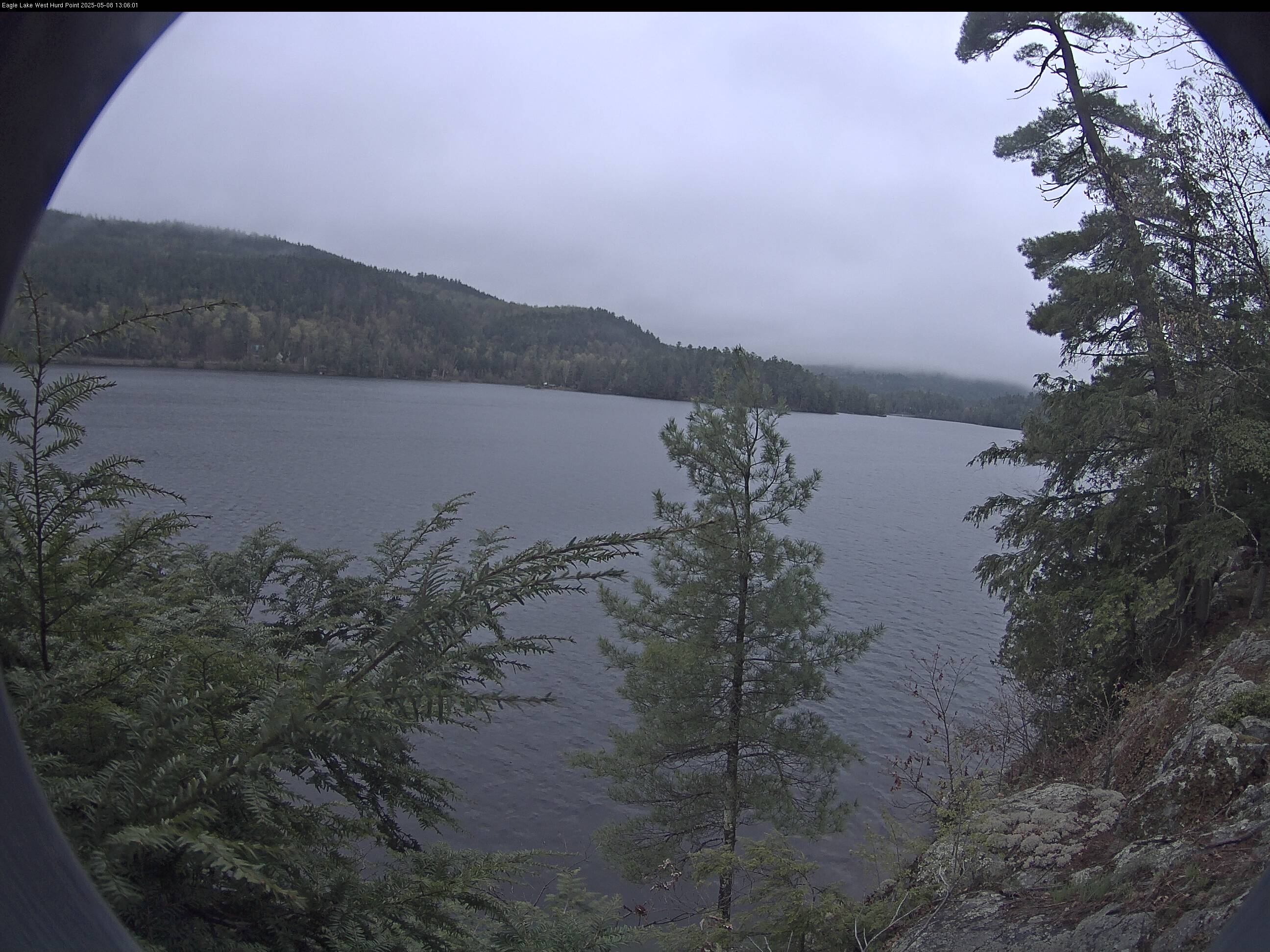 public_cam 1_25-05-08_13-06-00-94.jpg